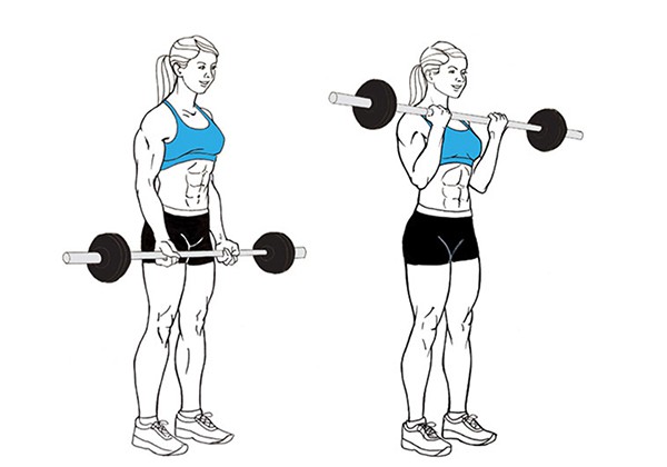 Barbell Curl