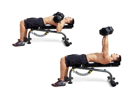 Dumbbell Bench Press