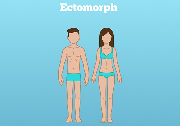 Tang nguoi Ectomorph