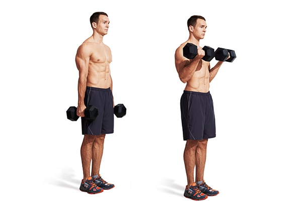 bai tap dumbbell biceps curl