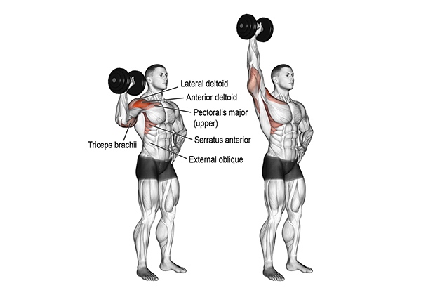 bai tap dumbbell one arm shoulder press