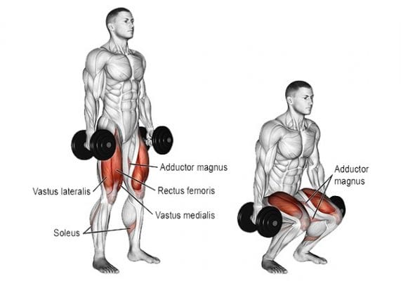 dumbbell squat