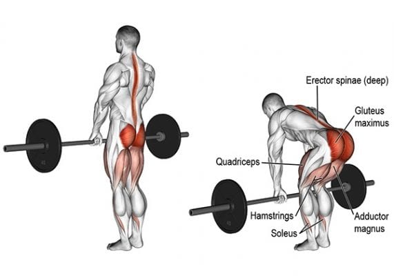 romanian deadlift la gi