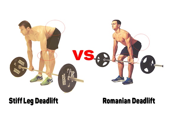 so sanh romanian deadlift voi stiff leg deadlift