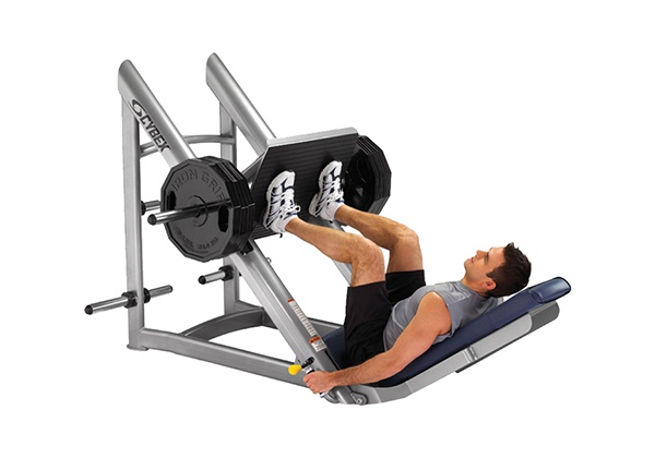 tap leg press dung cach