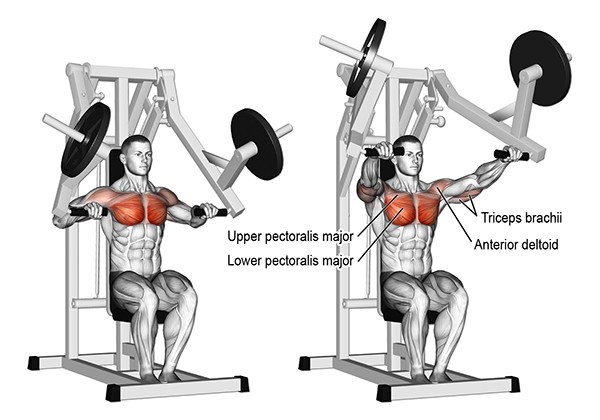 bai tap seated machine chest press