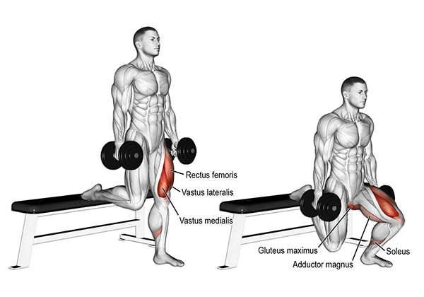 bulgarian split squat