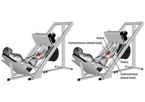 calf press on leg press