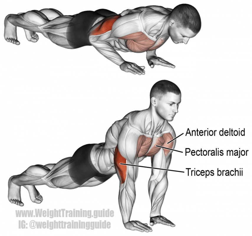 close grip push up 990x926