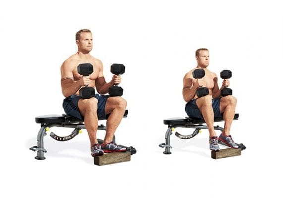 dumbbell seated calf raise