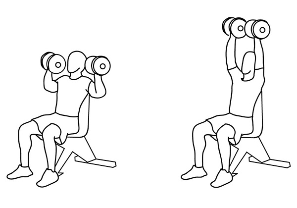 dumbbell shoulder press