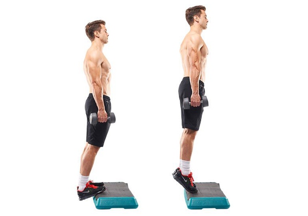 standing dumbbell calf raise