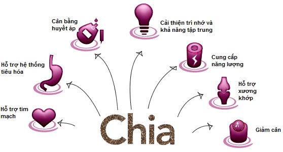 Hạt Chia có tác dụng gì