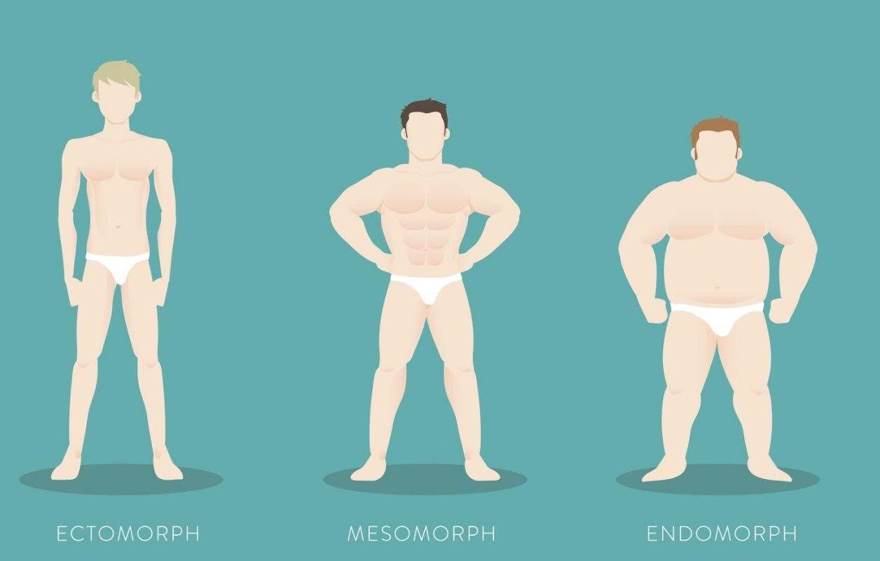 Chế độ tập cho tạng người Endomorph