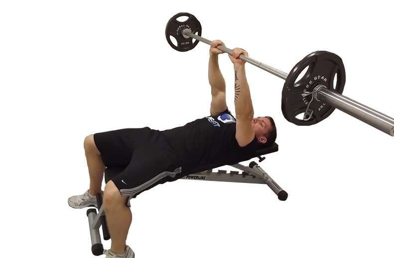 Các bài tập cơ tay sau Triceps cơ bản cho các bạn mới - Thethaokhoe.com