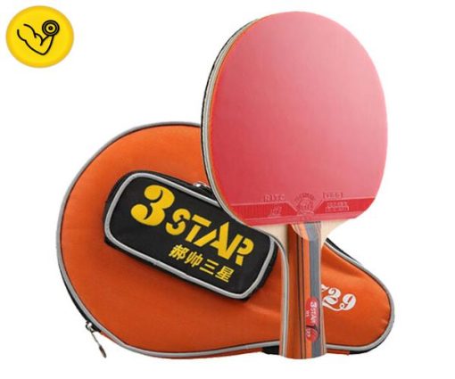 vợt bóng bàn 3Star - 729