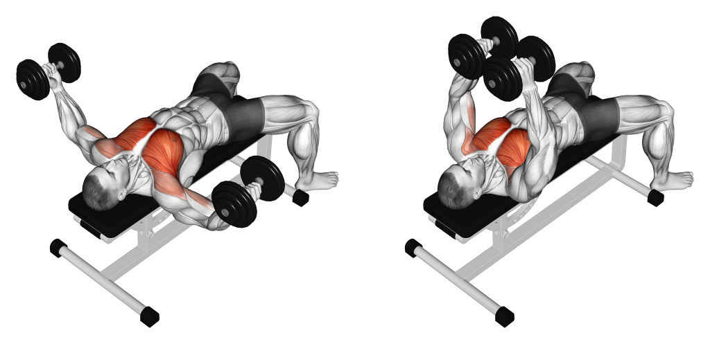 dumbbell chest flys 1024x497 1